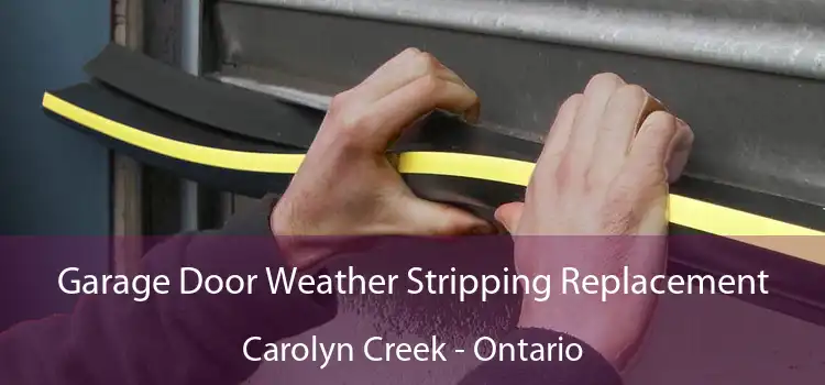 Garage Door Weather Stripping Replacement Carolyn Creek - Ontario