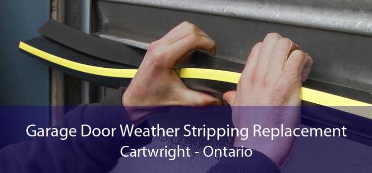 Garage Door Weather Stripping Replacement Cartwright - Ontario