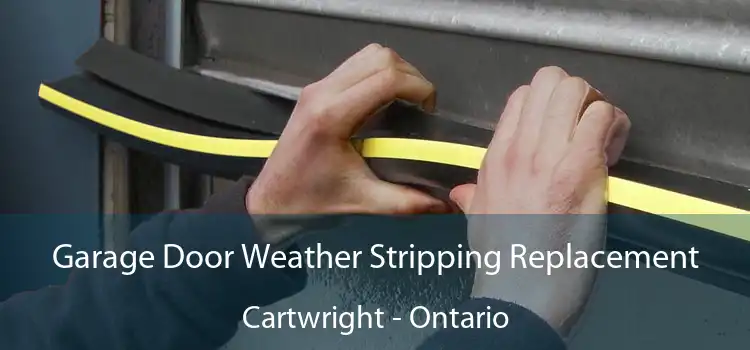 Garage Door Weather Stripping Replacement Cartwright - Ontario