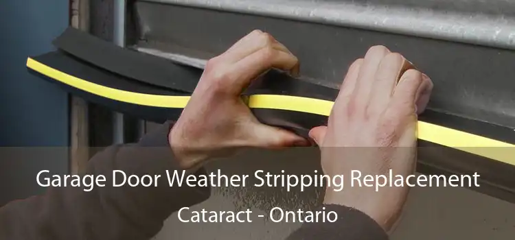 Garage Door Weather Stripping Replacement Cataract - Ontario