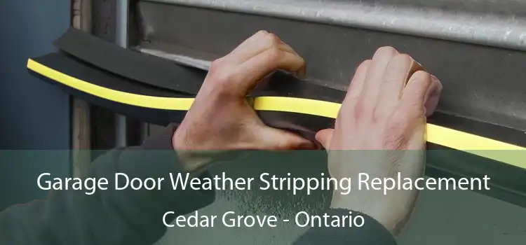 Garage Door Weather Stripping Replacement Cedar Grove - Ontario