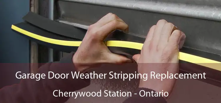Garage Door Weather Stripping Replacement Cherrywood Station - Ontario