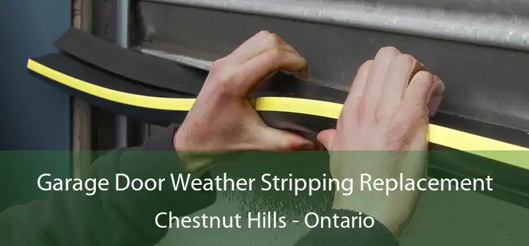 Garage Door Weather Stripping Replacement Chestnut Hills - Ontario