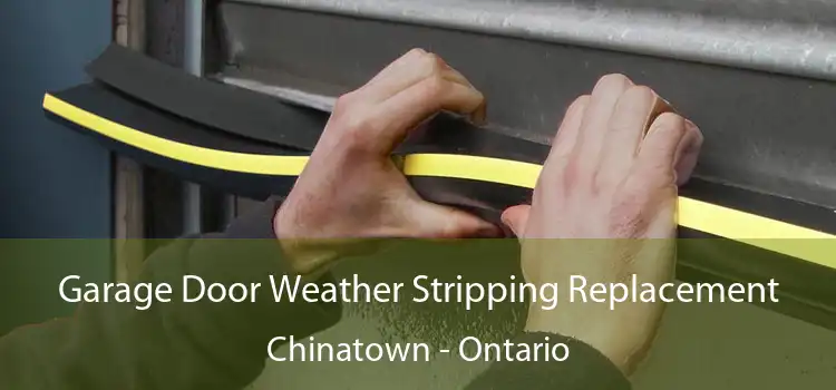 Garage Door Weather Stripping Replacement Chinatown - Ontario