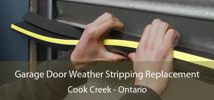 Garage Door Weather Stripping Replacement Cook Creek - Ontario