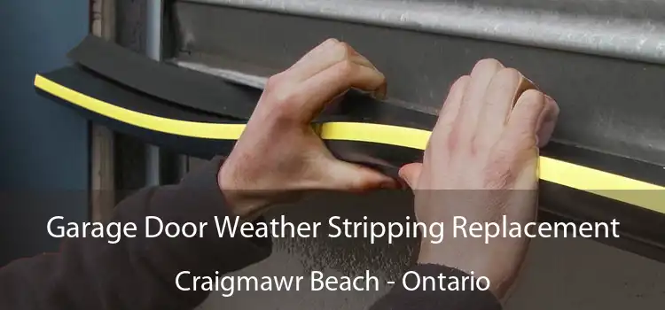 Garage Door Weather Stripping Replacement Craigmawr Beach - Ontario