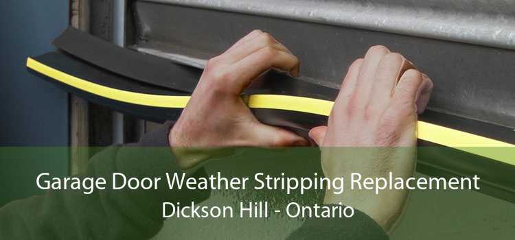 Garage Door Weather Stripping Replacement Dickson Hill - Ontario
