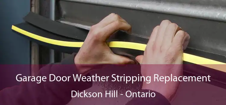 Garage Door Weather Stripping Replacement Dickson Hill - Ontario