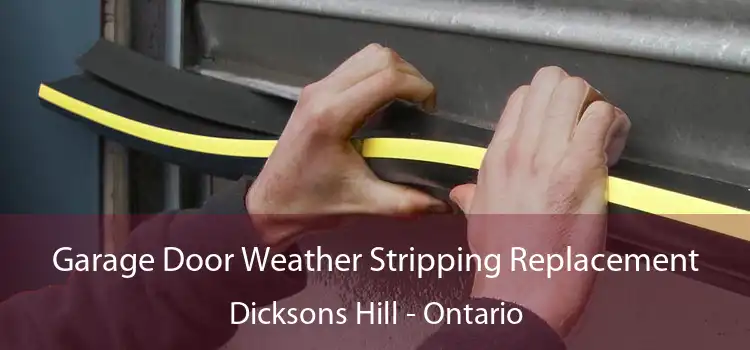 Garage Door Weather Stripping Replacement Dicksons Hill - Ontario
