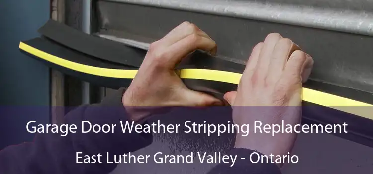 Garage Door Weather Stripping Replacement East Luther Grand Valley - Ontario