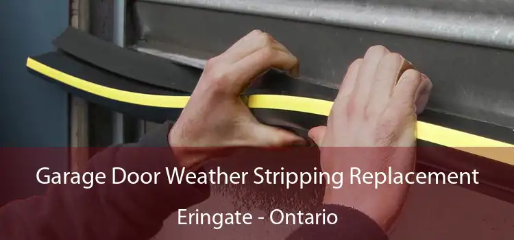Garage Door Weather Stripping Replacement Eringate - Ontario
