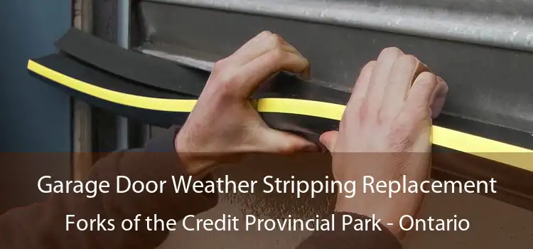 Garage Door Weather Stripping Replacement Forks of the Credit Provincial Park - Ontario