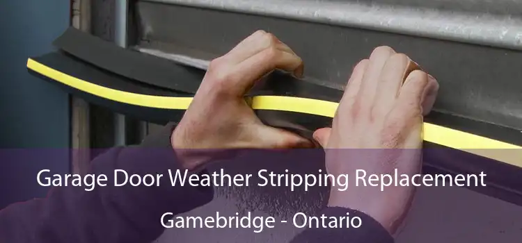 Garage Door Weather Stripping Replacement Gamebridge - Ontario