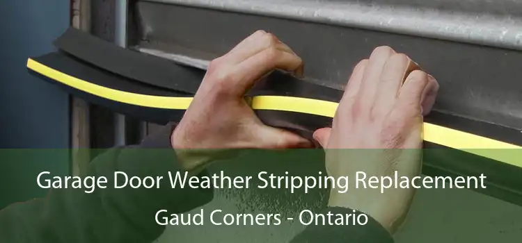 Garage Door Weather Stripping Replacement Gaud Corners - Ontario