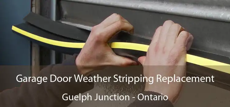 Garage Door Weather Stripping Replacement Guelph Junction - Ontario