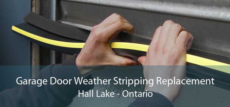Garage Door Weather Stripping Replacement Hall Lake - Ontario