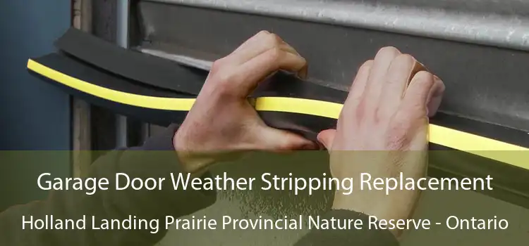 Garage Door Weather Stripping Replacement Holland Landing Prairie Provincial Nature Reserve - Ontario