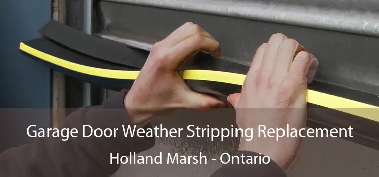 Garage Door Weather Stripping Replacement Holland Marsh - Ontario