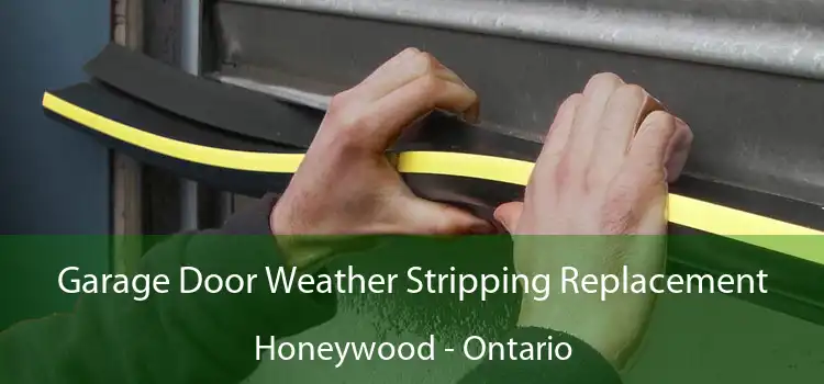 Garage Door Weather Stripping Replacement Honeywood - Ontario