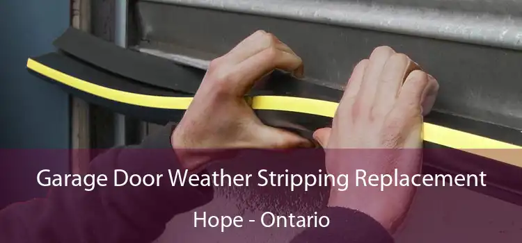 Garage Door Weather Stripping Replacement Hope - Ontario
