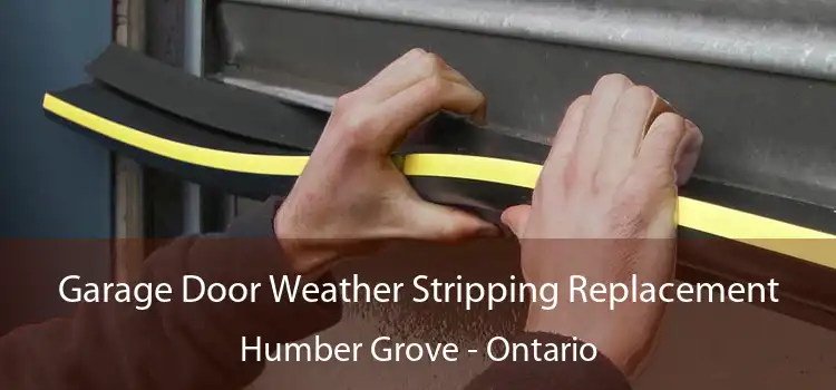 Garage Door Weather Stripping Replacement Humber Grove - Ontario