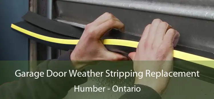 Garage Door Weather Stripping Replacement Humber - Ontario