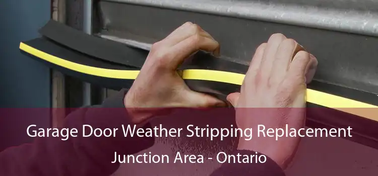 Garage Door Weather Stripping Replacement Junction Area - Ontario