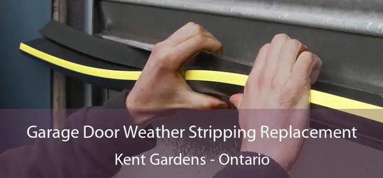 Garage Door Weather Stripping Replacement Kent Gardens - Ontario