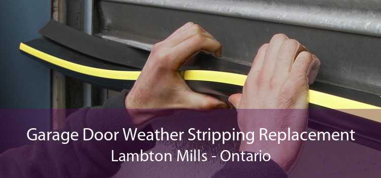 Garage Door Weather Stripping Replacement Lambton Mills - Ontario