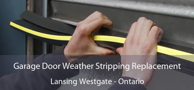 Garage Door Weather Stripping Replacement Lansing Westgate - Ontario