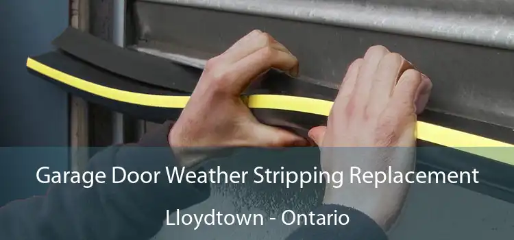 Garage Door Weather Stripping Replacement Lloydtown - Ontario