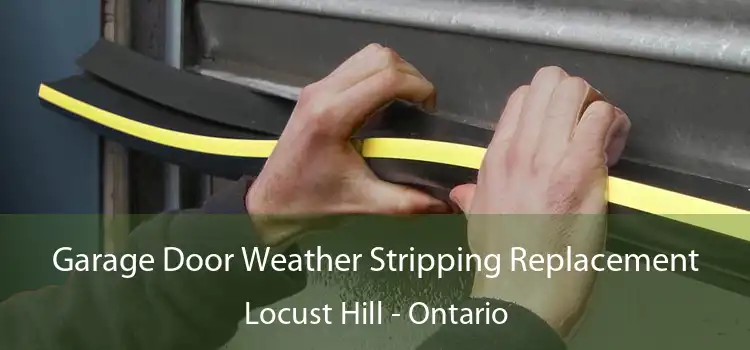Garage Door Weather Stripping Replacement Locust Hill - Ontario