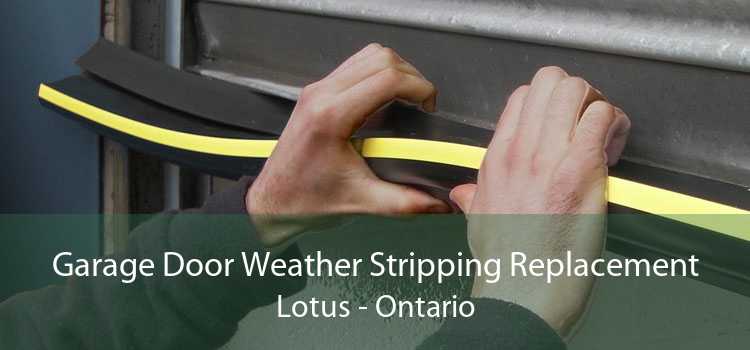 Garage Door Weather Stripping Replacement Lotus - Ontario