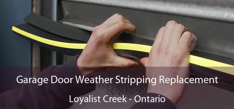 Garage Door Weather Stripping Replacement Loyalist Creek - Ontario