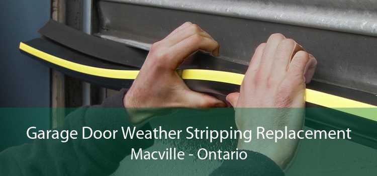 Garage Door Weather Stripping Replacement Macville - Ontario