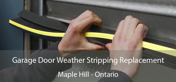 Garage Door Weather Stripping Replacement Maple Hill - Ontario