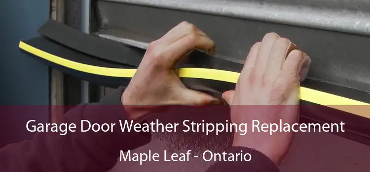 Garage Door Weather Stripping Replacement Maple Leaf - Ontario