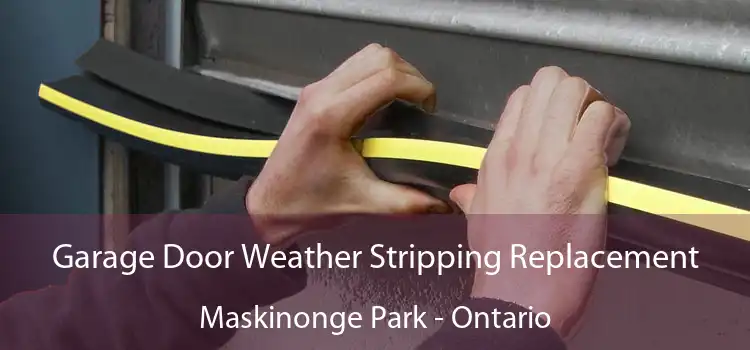 Garage Door Weather Stripping Replacement Maskinonge Park - Ontario