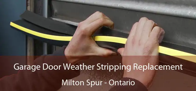 Garage Door Weather Stripping Replacement Milton Spur - Ontario