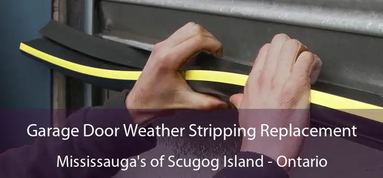 Garage Door Weather Stripping Replacement Mississauga's of Scugog Island - Ontario