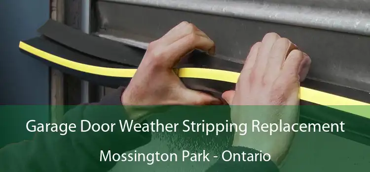 Garage Door Weather Stripping Replacement Mossington Park - Ontario