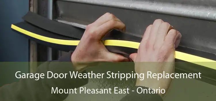 Garage Door Weather Stripping Replacement Mount Pleasant East - Ontario
