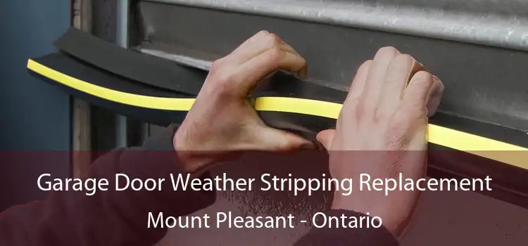 Garage Door Weather Stripping Replacement Mount Pleasant - Ontario