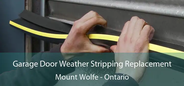 Garage Door Weather Stripping Replacement Mount Wolfe - Ontario