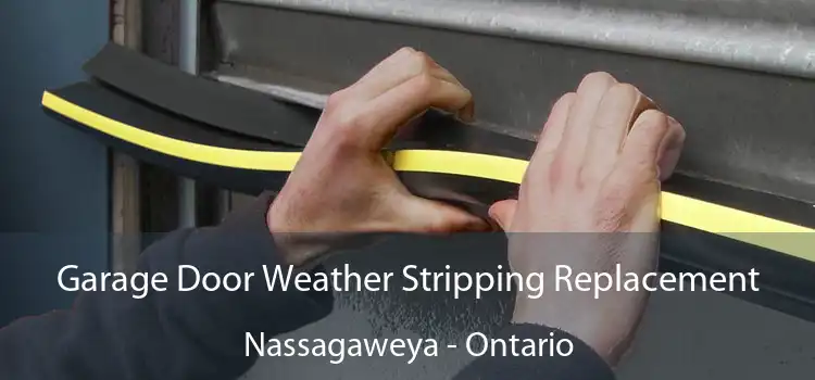 Garage Door Weather Stripping Replacement Nassagaweya - Ontario