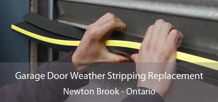 Garage Door Weather Stripping Replacement Newton Brook - Ontario