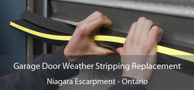 Garage Door Weather Stripping Replacement Niagara Escarpment - Ontario