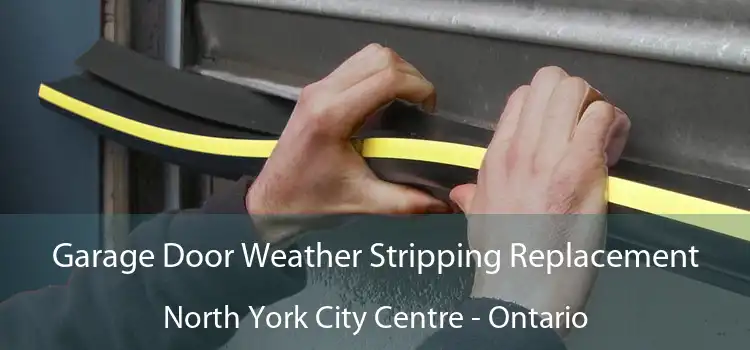 Garage Door Weather Stripping Replacement North York City Centre - Ontario