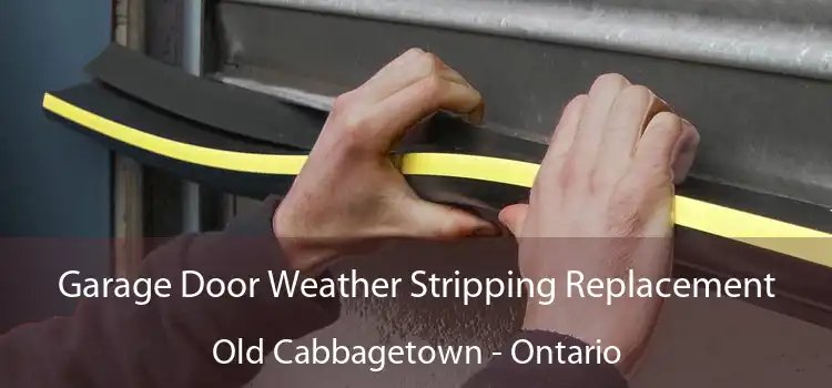 Garage Door Weather Stripping Replacement Old Cabbagetown - Ontario