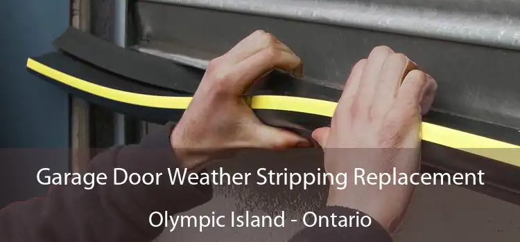 Garage Door Weather Stripping Replacement Olympic Island - Ontario
